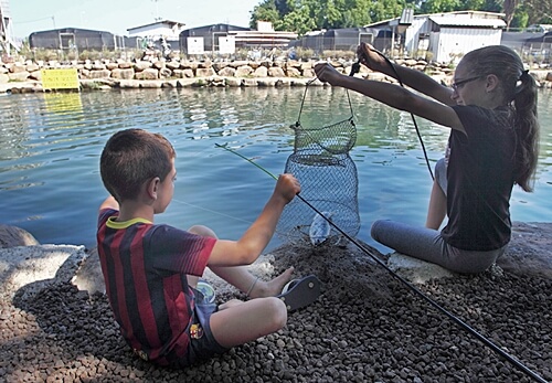 פארק דייג דפנה
