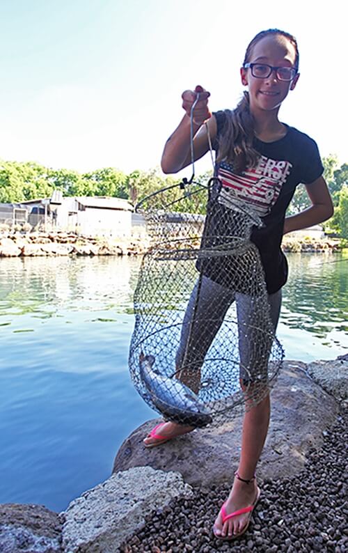 פארק דייג דפנה