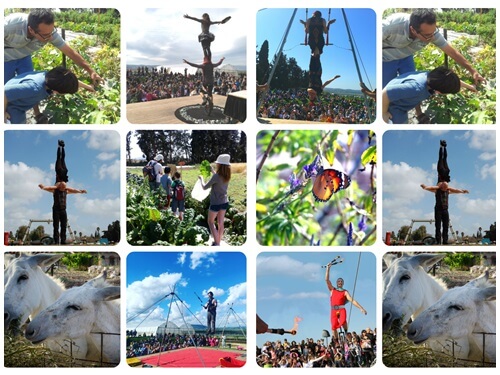 הקרקס החקלאי