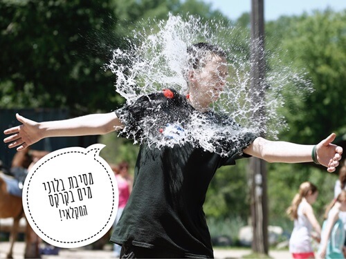 הקרקס החקלאי