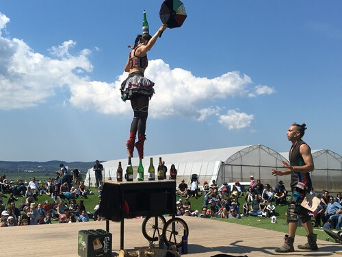 הקרקס החקלאי