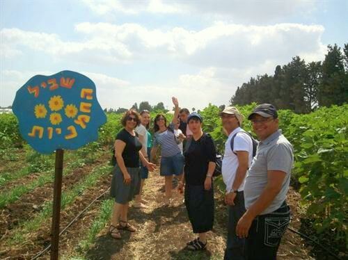 הקרקס החקלאי