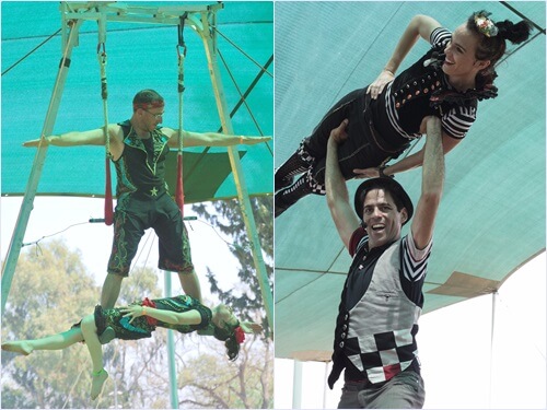 הקרקס החקלאי