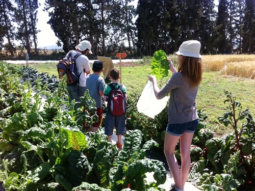 הקרקס החקלאי