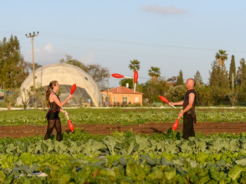 הקרקס החקלאי