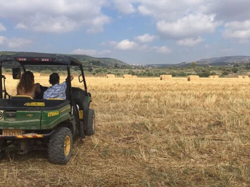 בשביל האושר - סוסים וריינג'ר
