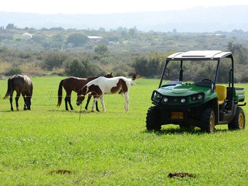 בשביל האושר - סוסים וריינג'ר