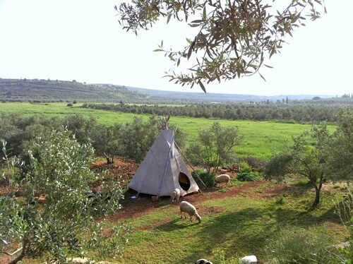 בשביל האושר - סוסים וריינג'ר