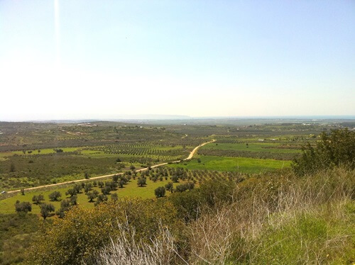 בשביל האושר - סוסים וריינג'ר