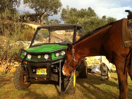 בשביל האושר - סוסים וריינג'ר