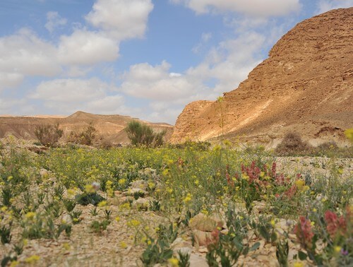 מרכז המבקרים מכוורת פורת