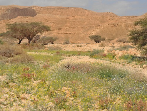 מרכז המבקרים מכוורת פורת