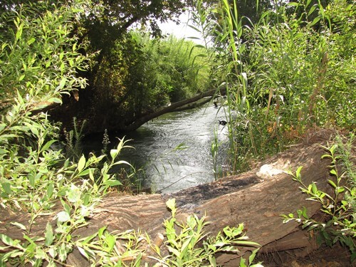 קרוואן על הנחל