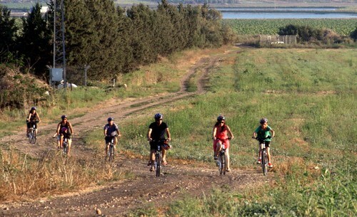 שטיין טיולי אופניים חשמליים