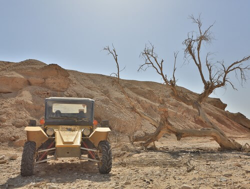 חוויה מוטורית