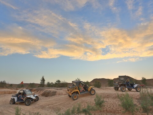 חוויה מוטורית