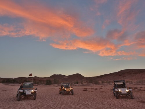 חוויה מוטורית