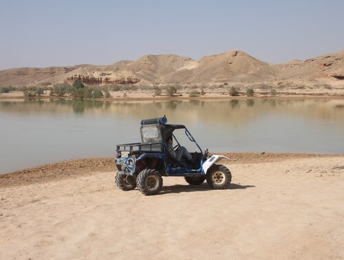 חוויה מוטורית