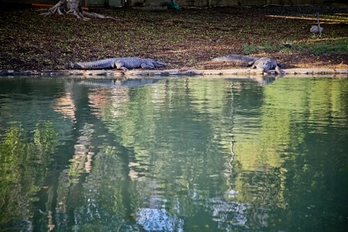 חוויות חמת גדר