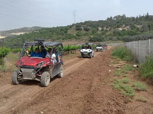 בעקבות השטח