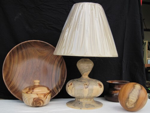 גלריית אמנות בעץ - ישראל דנאי