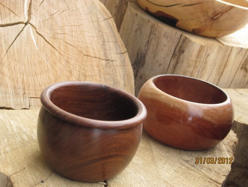 גלריית אמנות בעץ - ישראל דנאי