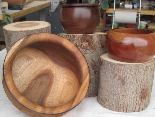 גלריית אמנות בעץ - ישראל דנאי