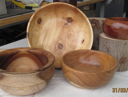 גלריית אמנות בעץ - ישראל דנאי