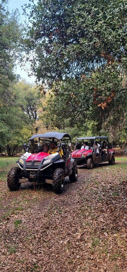 טיולי באגי בחרמון - Road Up