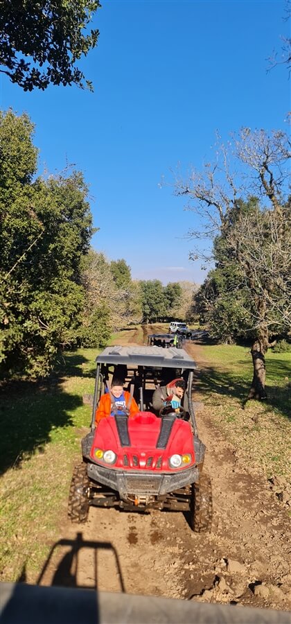 טיולי באגי בחרמון - Road Up