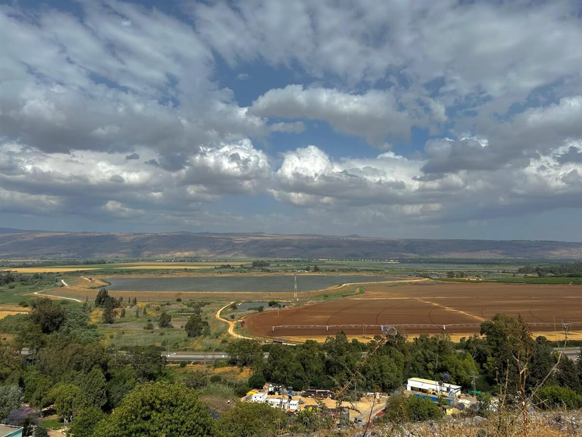 RZR בר - רייזר בר