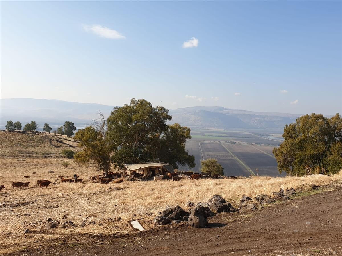 RZR בר - רייזר בר