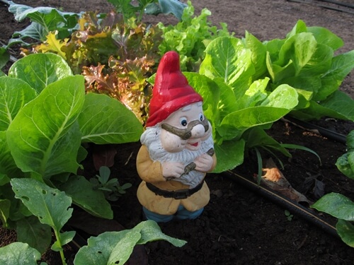 אוריגני - חווה אורגנית