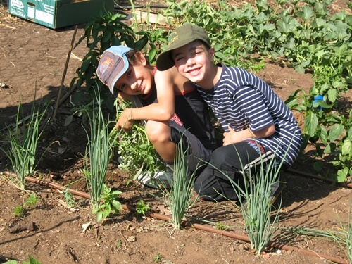 אוריגני - חווה אורגנית