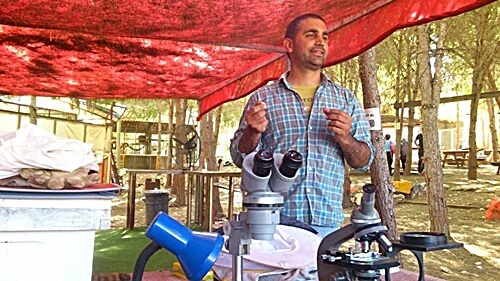 פתילת המדבר - סדנאות דבש ודבורים 