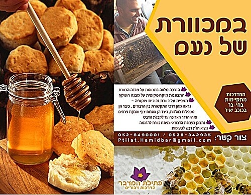 פתילת המדבר - סדנאות דבש ודבורים 