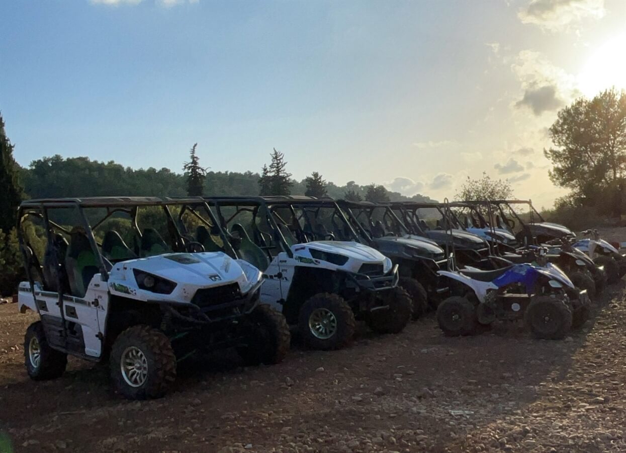 טרקטורונים בין הנחלים