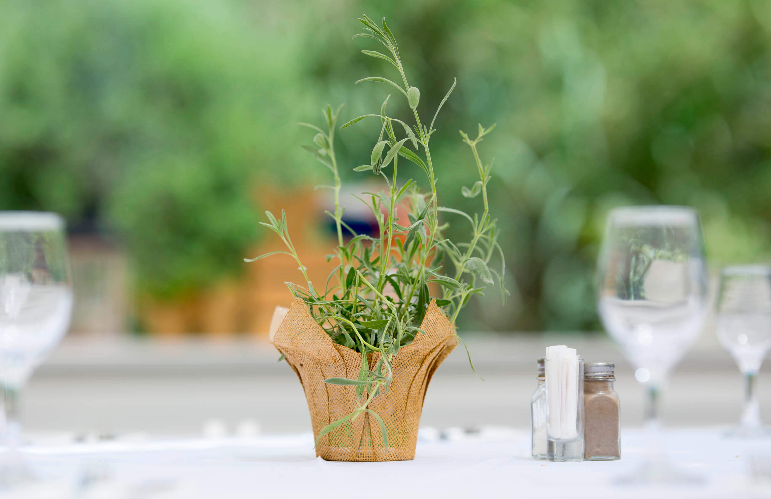 טרק ים אכזיב