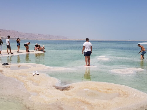 טרקטורוני ים המלח