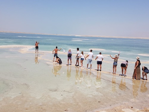 טרקטורוני ים המלח