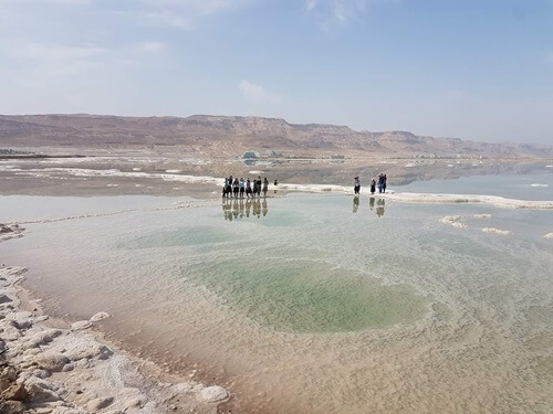 טרקטורוני ים המלח