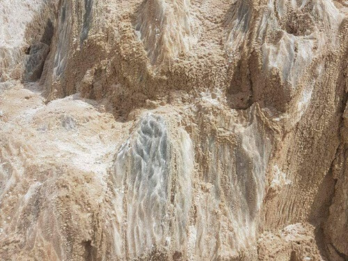 טרקטורוני ים המלח