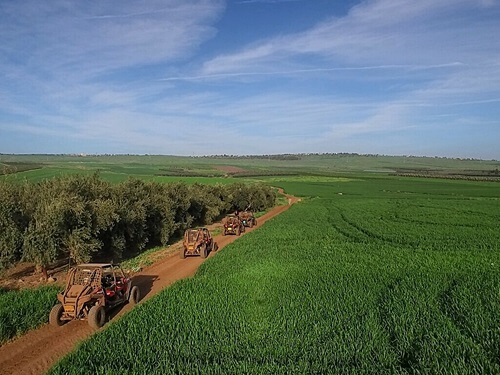 טוסקנה חוויות שטח
