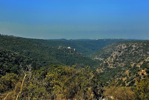 חוות מונפורטויטו