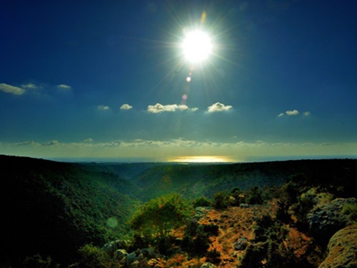 חוות מונפורטויטו