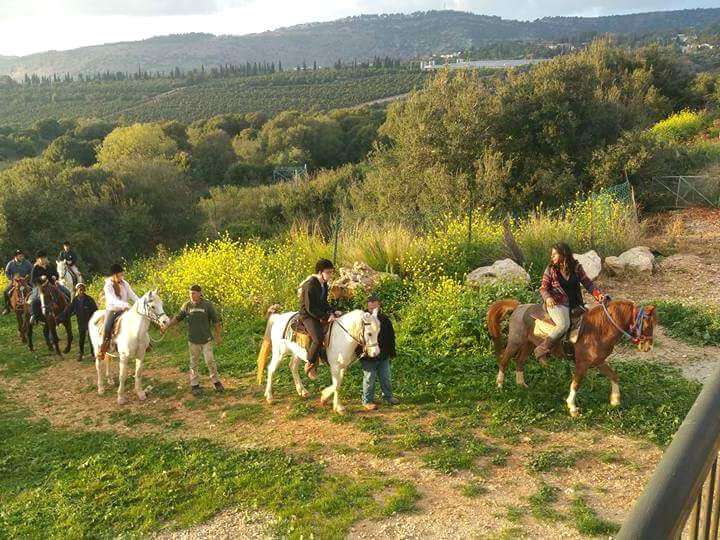 חוות מונפורטויטו