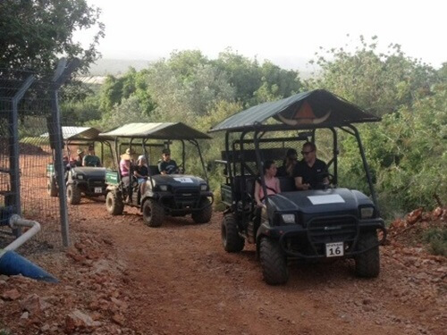 חוות מונפורטויטו