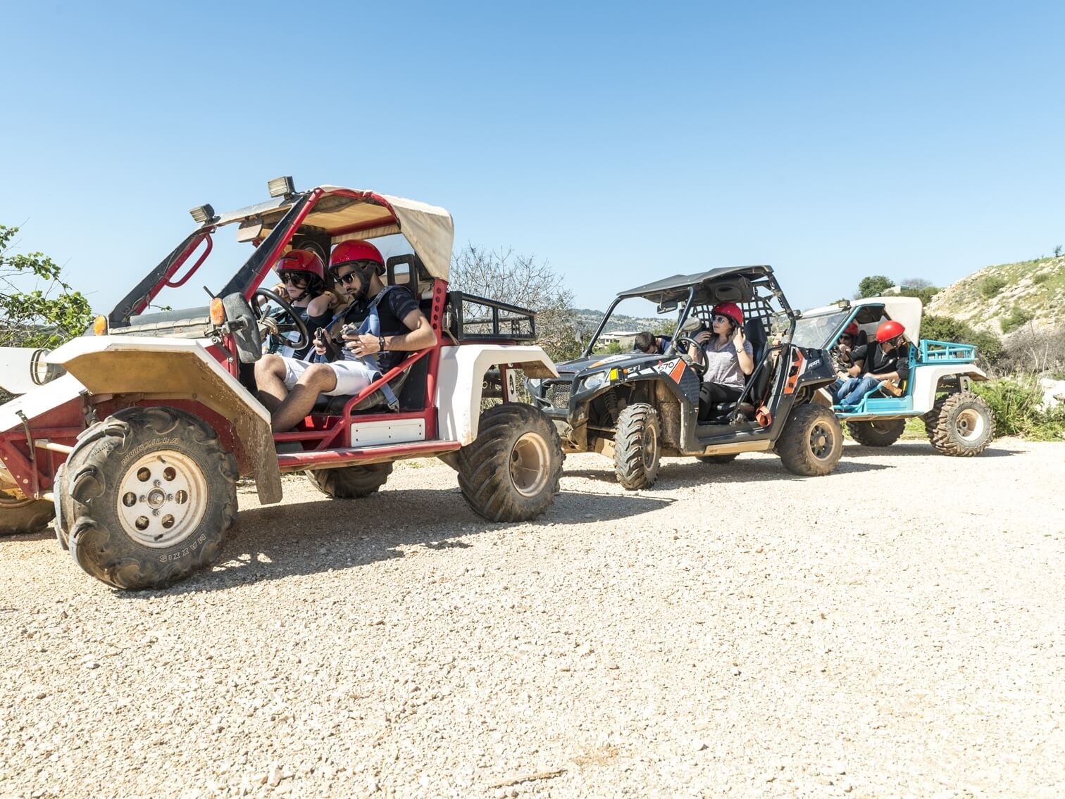 חוות מונפורטויטו