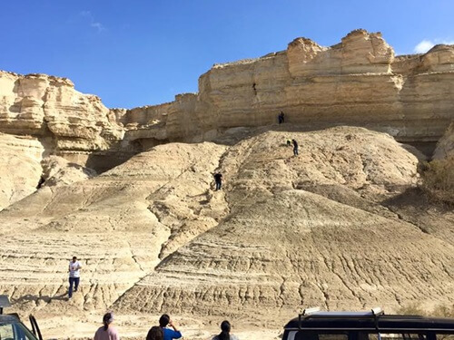 מטיילי המדבר