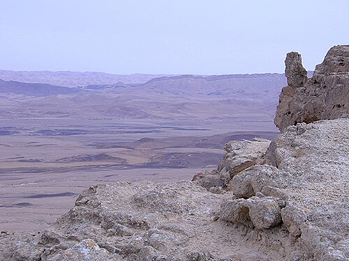 מטיילי המדבר